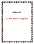 he_dieu_hanh_mang_8766.pdf.jpg
