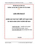 Những giải pháp phát triển thẻ thanh toán tại Ngân hàng Công thương Việt Nam.pdf.jpg