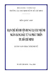Hạn chế rủi ro tín dụng tại chi nhánh Ngân hàng Đầu tư và Phát triển Thành phố Hồ Chí Minh.pdf.jpg