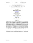Đo Lường Hiệu Quả Dịch Vụ Đô Thị Ở Các Thành Phố Hoa Kỳ - Cty Fulbright.pdf.jpg