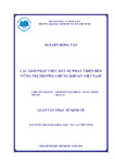 Các giải pháp thúc đẩy sự phát triển bên vững thị trường chứng khoán Việt Nam.pdf.jpg