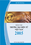 Báo Cáo Thương Mại Điện Tử Việt Nam 2005.pdf.jpg