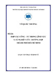 Hợp tác công - tư trong lĩnh vực y tế nghiên cứu trường hợp Thành phố Hồ Chí Minh.PDF.jpg