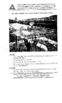00000023632.pdf.jpg