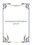 Phân Tích Hoạt Động Kinh Doanh 2008.pdf.jpg