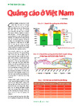 Quảng cáo ở Việt Nam.pdf.jpg
