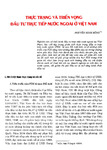thuctrangvadaututructiepnuocngoaivaovietnam.pdf.jpg