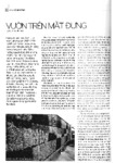 Vườn trên mặt đứng.pdf.jpg