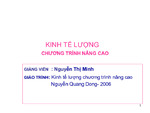 Slide.Kinh Tế Lượng Chương Trình Nâng Cao.pdf.jpg