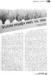 2_2009_CVv312S412009029.pdf.jpg