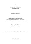Phân tích tài chính trong các doanh nghiệp nhỏ và vừa trên địa bàn Thành phố Kon Tum, tỉnh Gia Lai.pdf.jpg