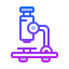 collection logo